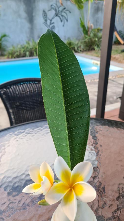 Holiday Villa Frangipani Grand Baie Extérieur photo